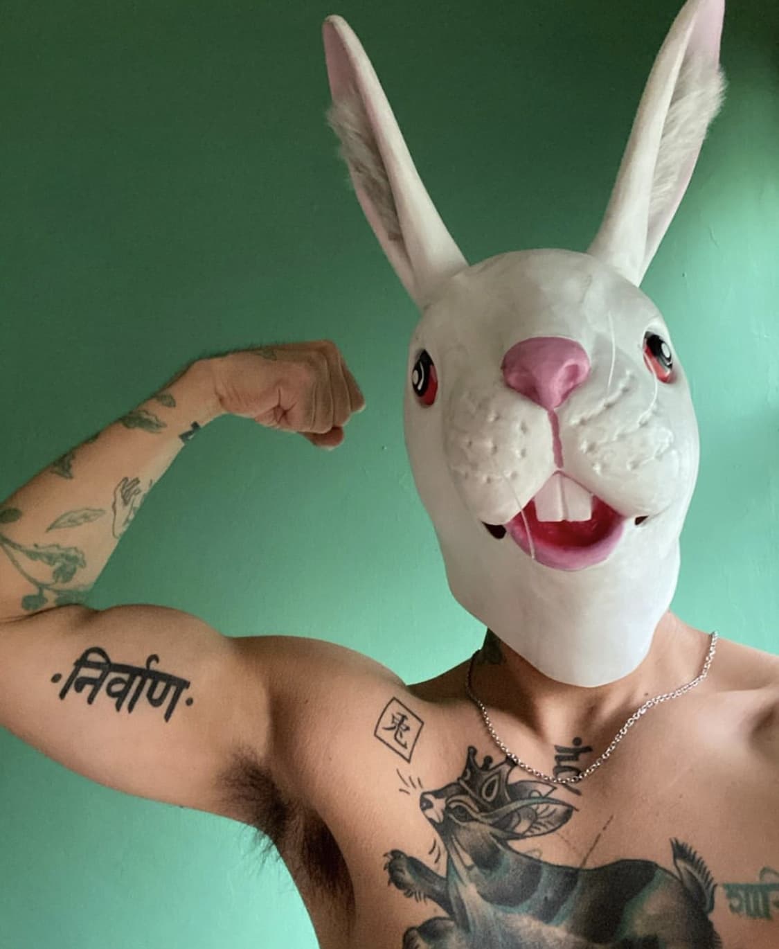 El Conejo Rey 🐇👑
