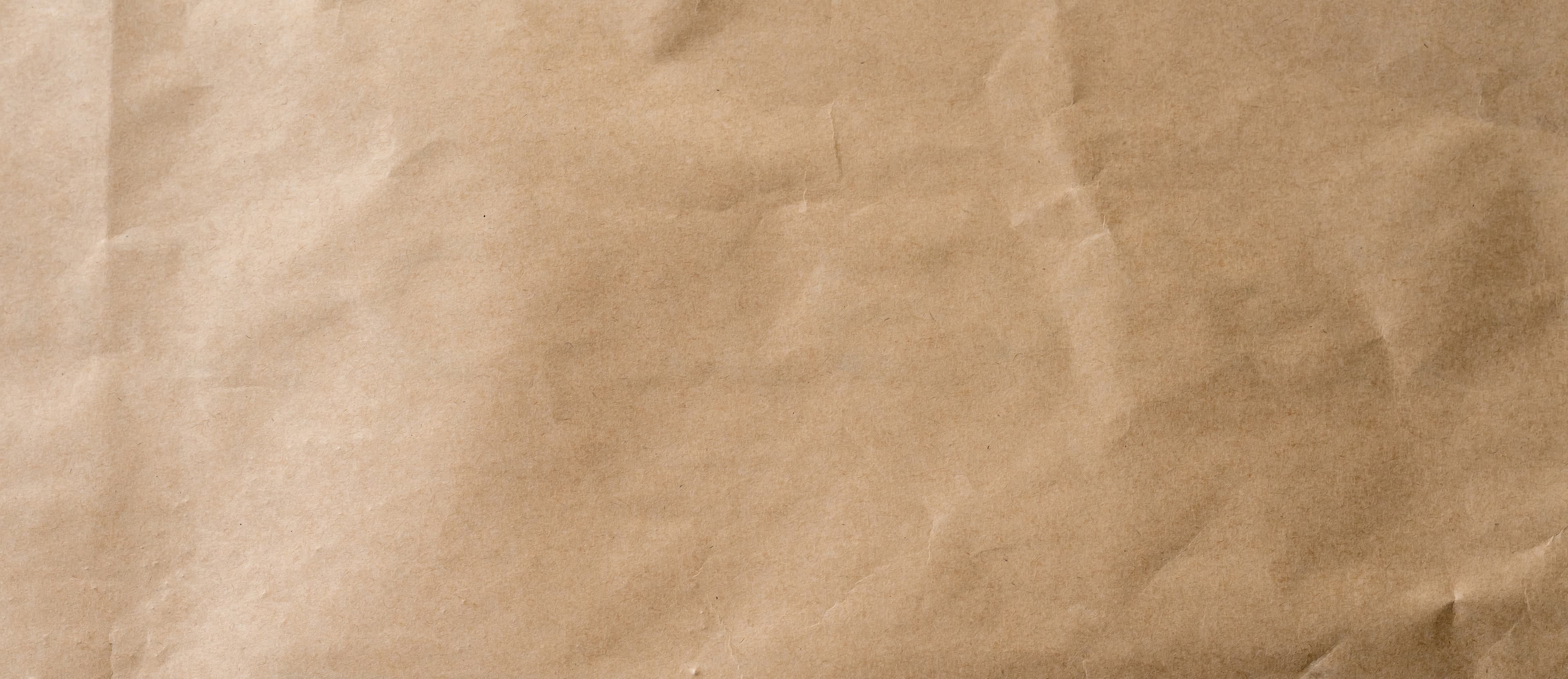 Paper Bag Woman