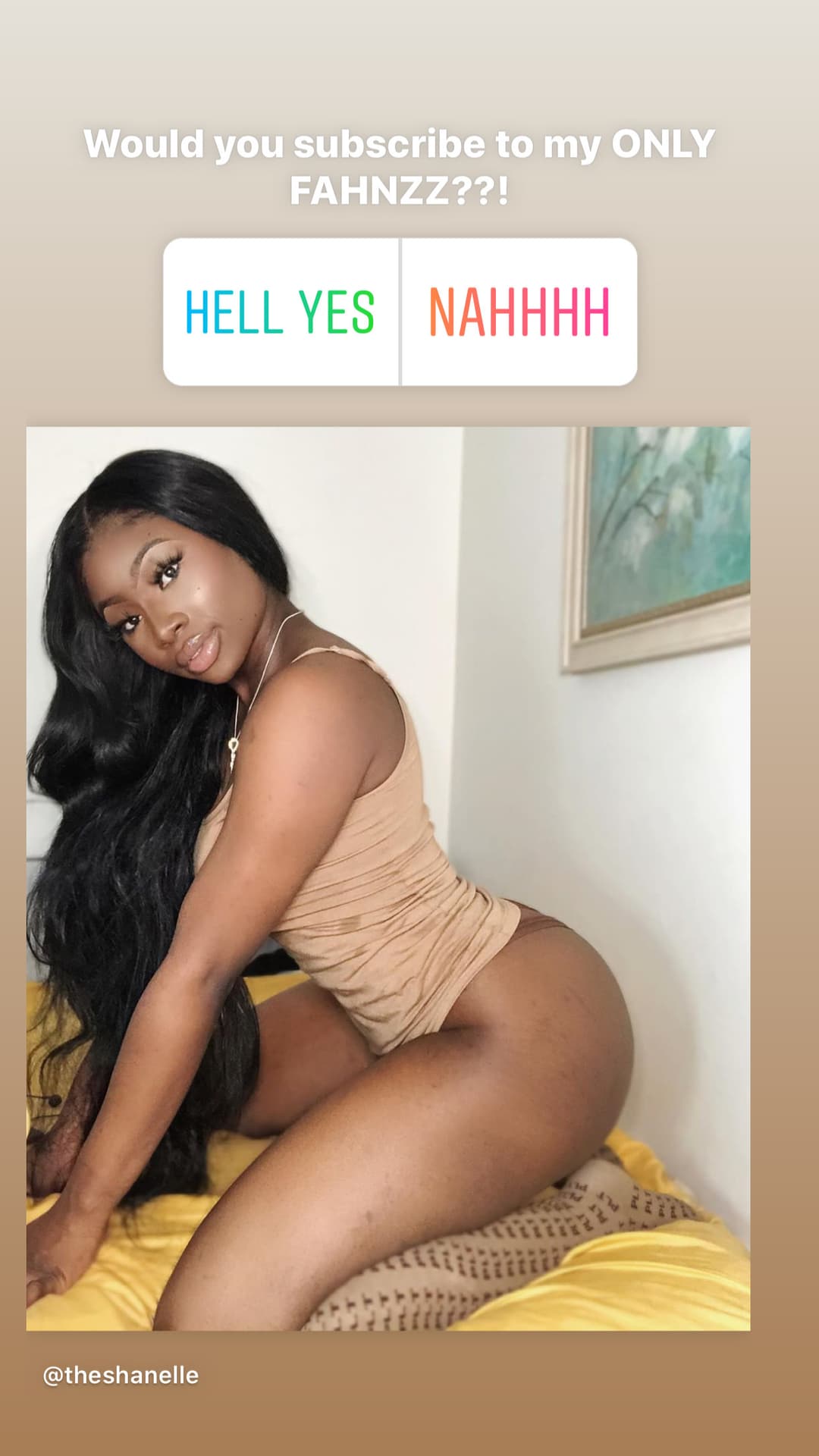 Theshanelle