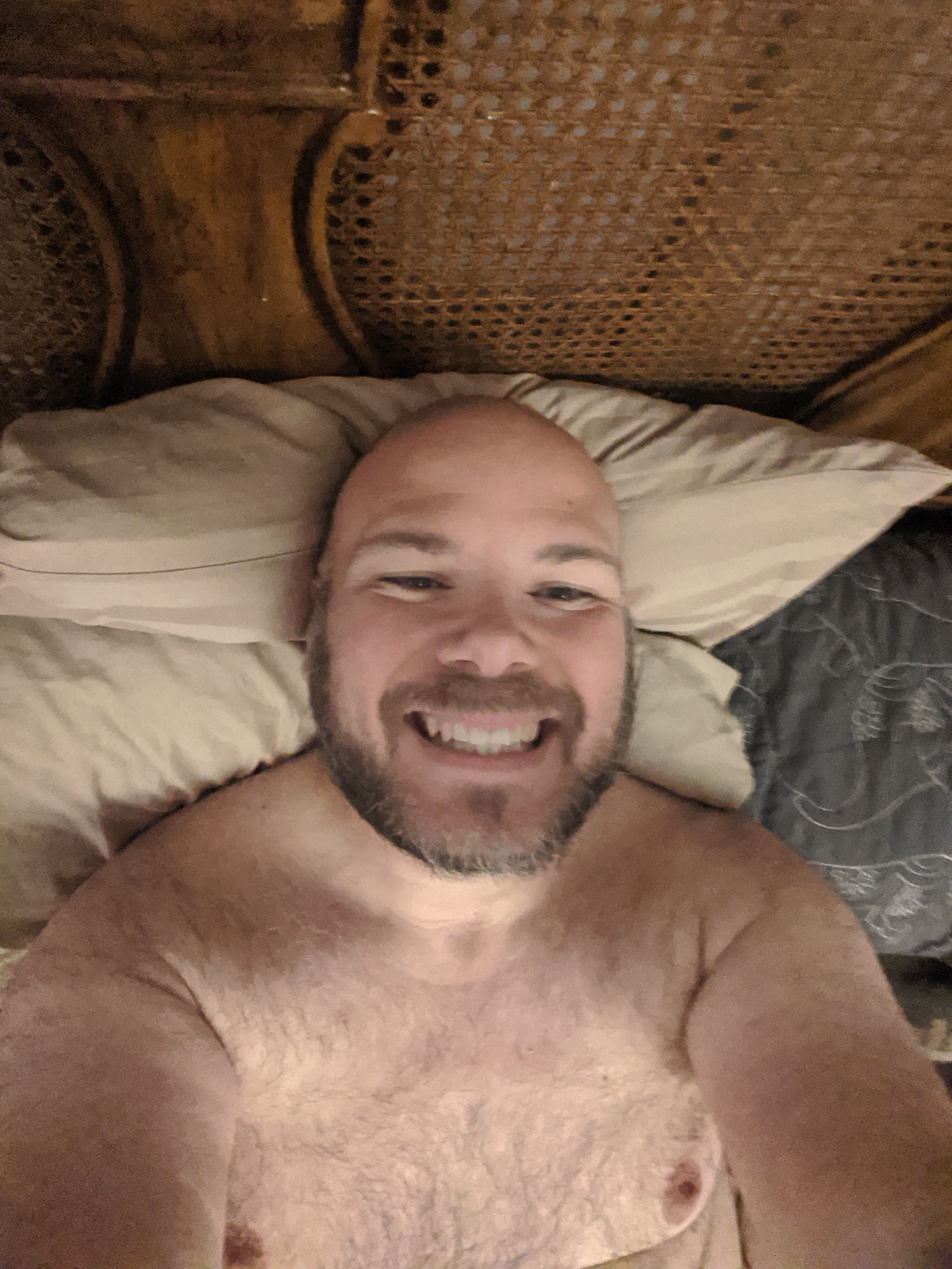 Bear Bob