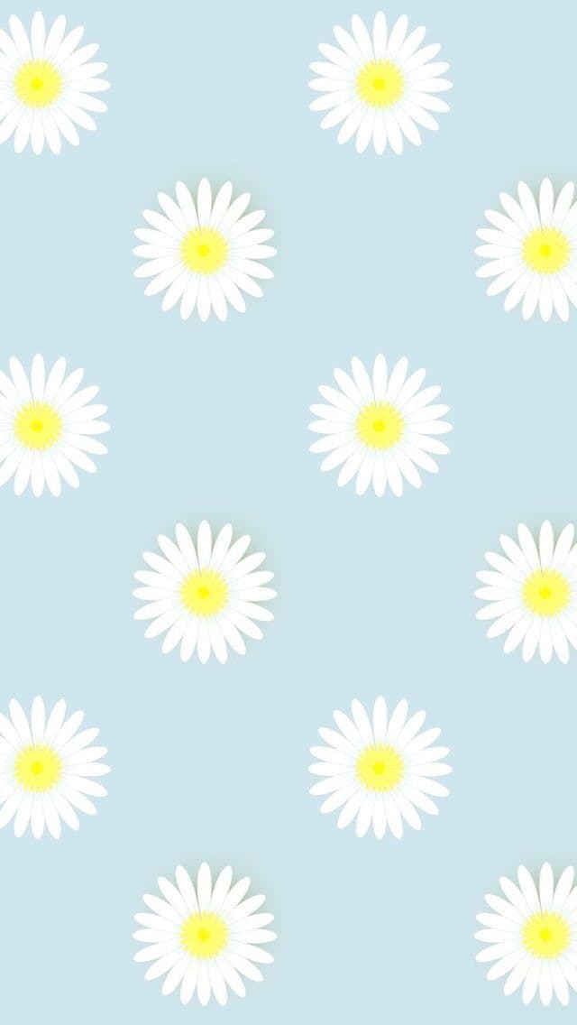 LaMuscBlanc