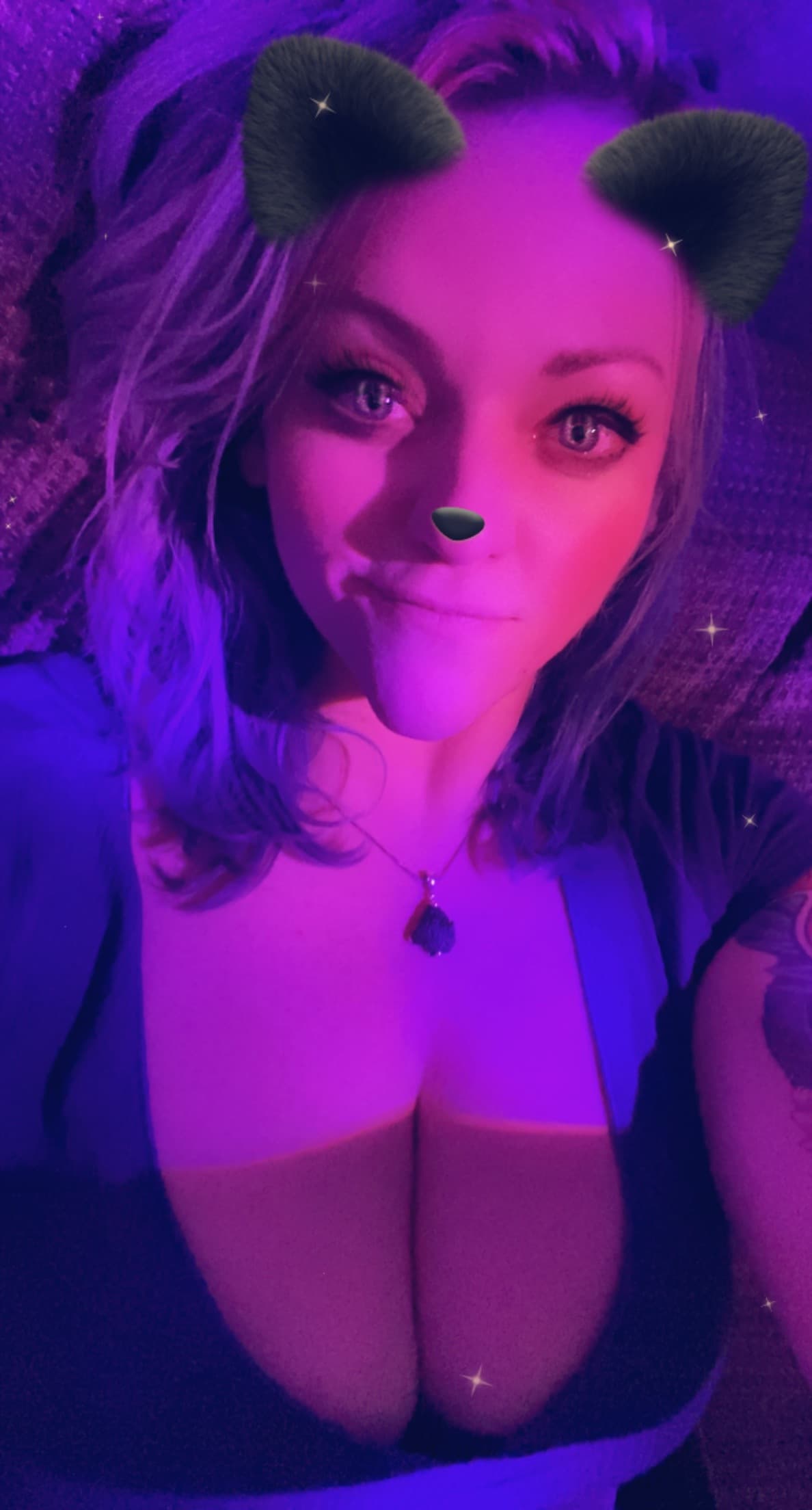 Kitten